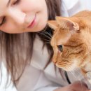 고양이집 이미지