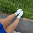 골프 델렌 이미지