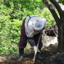 윗대이리 이미지