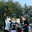 포천스크린 골프존 이미지