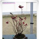 가덕중학교 이미지