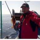 문암2리항 이미지