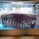 백년수고기 | ​[경산 맛집] 사동🥩✨ '백년수고기' : 저온 수중 숙성으로 차원이 다른 육질!