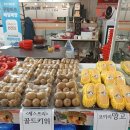 연아청과