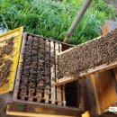 응애농원 이미지