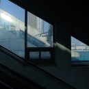 이엑스알 | 아드리안 비야르 로하스: 적군의 언어 전시 후기 | fujifilm finepix f80exr 작례 공유