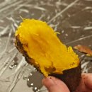 몽산드펜션 이미지