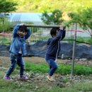 재영농장 이미지