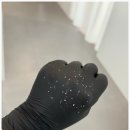 수원-0896 이미지