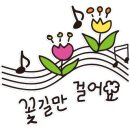 꽃길다육 이미지
