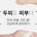 에스에이서울