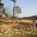 논산시민공원 이미지