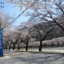 옥포 부분정비 이미지