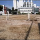 대구성서초등학교 이미지