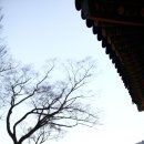 레드페이스성남 - 11960 | 아웃도어 레드페이스, 겨울의 끝자락에 즐기는 트레킹 명소 추천 #남한산성 편