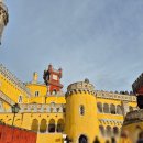 별의궁전 | 포르투갈 신트라 여행 후기 : 페나 궁전 및 정원 후기