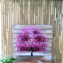 신대공인중개사사무소 이미지