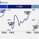황금알 이미지