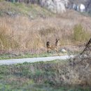 우두강둑길 이미지