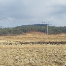 선덕여왕릉 화장실 이미지