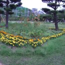 참사랑결혼정보 네이버블로그