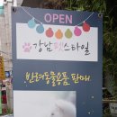 강남펫스타일