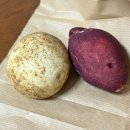 삼양카인테리어 | 평창여행 디저트 찐 구황작물을 먹은 것 같은 감자빵, 고구마빵 추천! 수미카페