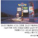 겨울 양수리 구경