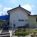 김유정로 이미지