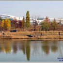 마곡코오롱어린이집 이미지