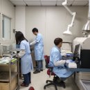 홍천군농업기술센터 이미지