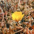 국립김해박물관 이미지