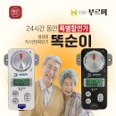 부르미 이미지