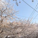 숯불설레임