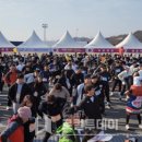 금산웰빙홍삼