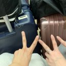 하카타역 코메다커피 모닝세트, 신선산도, 후쿠오카공항 로손, 모모야 라유,인천공항T2 맛집 황생가 칼국수