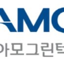 아모 이미지