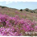 김*병 이미지