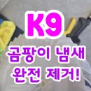 광주 첨단 내시경 에바크리닝 - K9 차량 에어컨 곰팡이 냄새 완벽 제거!