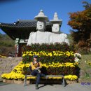 토지면 연곡사 입구 이미지