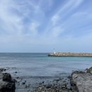 제주전복물회 이미지