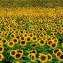 Never write off anyone (어느 누구도 단념하지 말라) 이미지