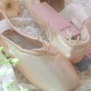 앨리스상점 이미지