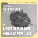 부곡동물병원 이미지