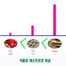 갱년기 증상에 좋은 식품 이미지