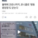 불매에 코로나까지..유니클로 '명동중앙점'도 닫는다 이미지