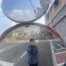 호람갤러리웨딩 | 야근+주말출근 콤보에도 끄떡없이 놀고 먹은 11월
