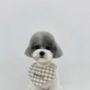 라이크몽 이미지