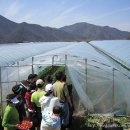 우혁농장 이미지