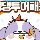 제주애견학교 이미지